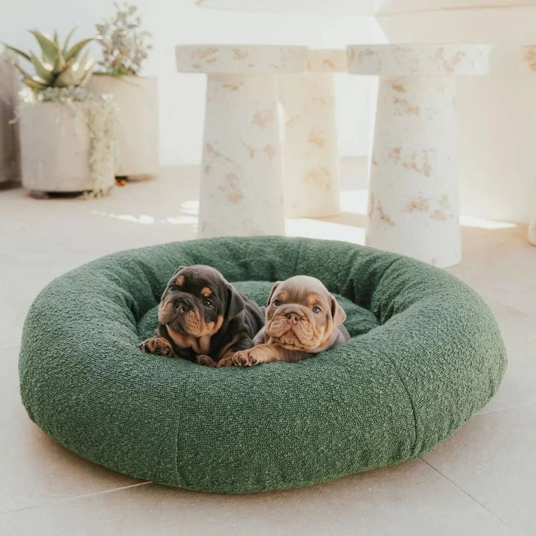 Luxury Boucle Dog Bed