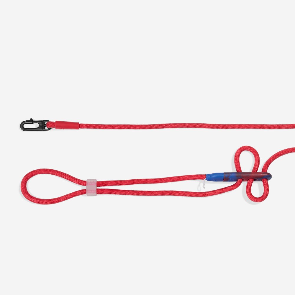 Spider-Man | Hands-Free Leash - Image 3