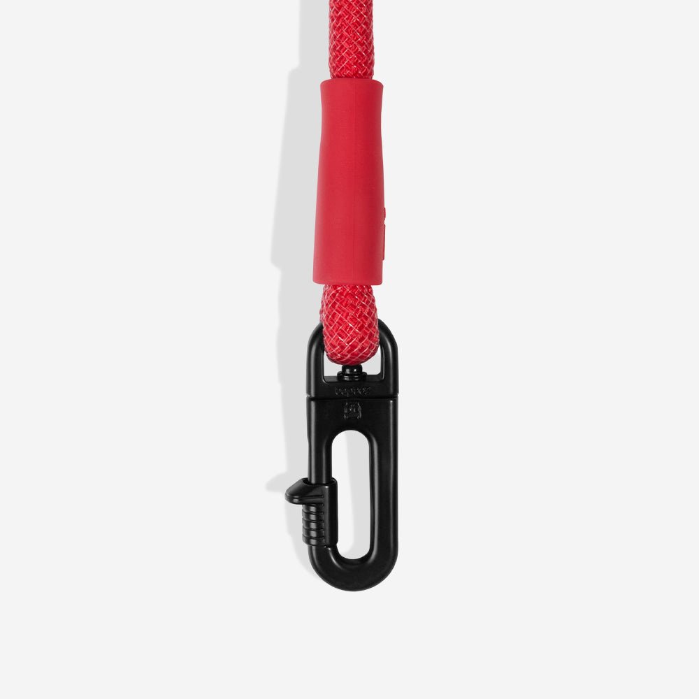 Spider-Man | Hands-Free Leash - Image 5